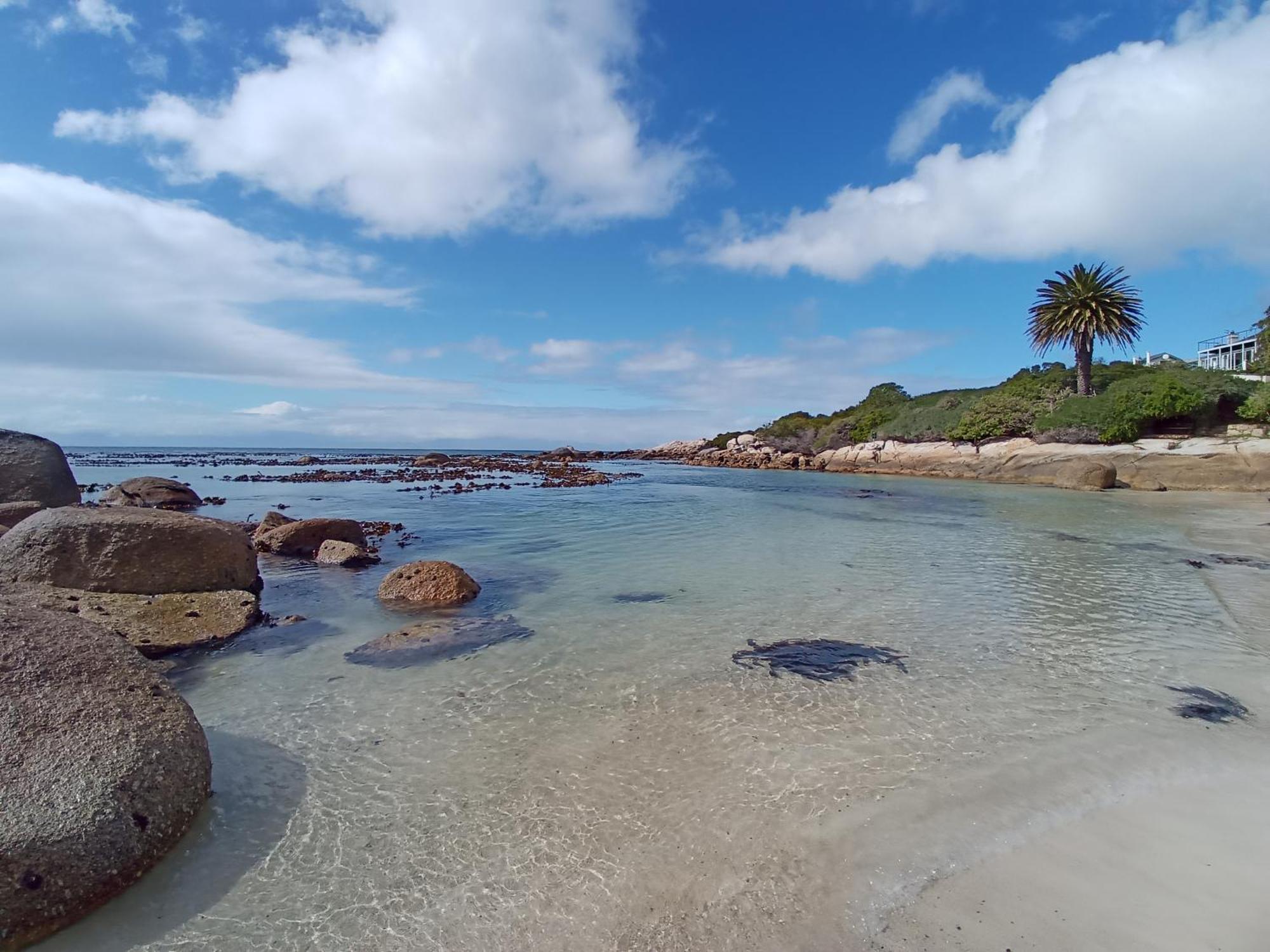 Bonne Esperance, Simon'S Town Apartment Bagian luar foto