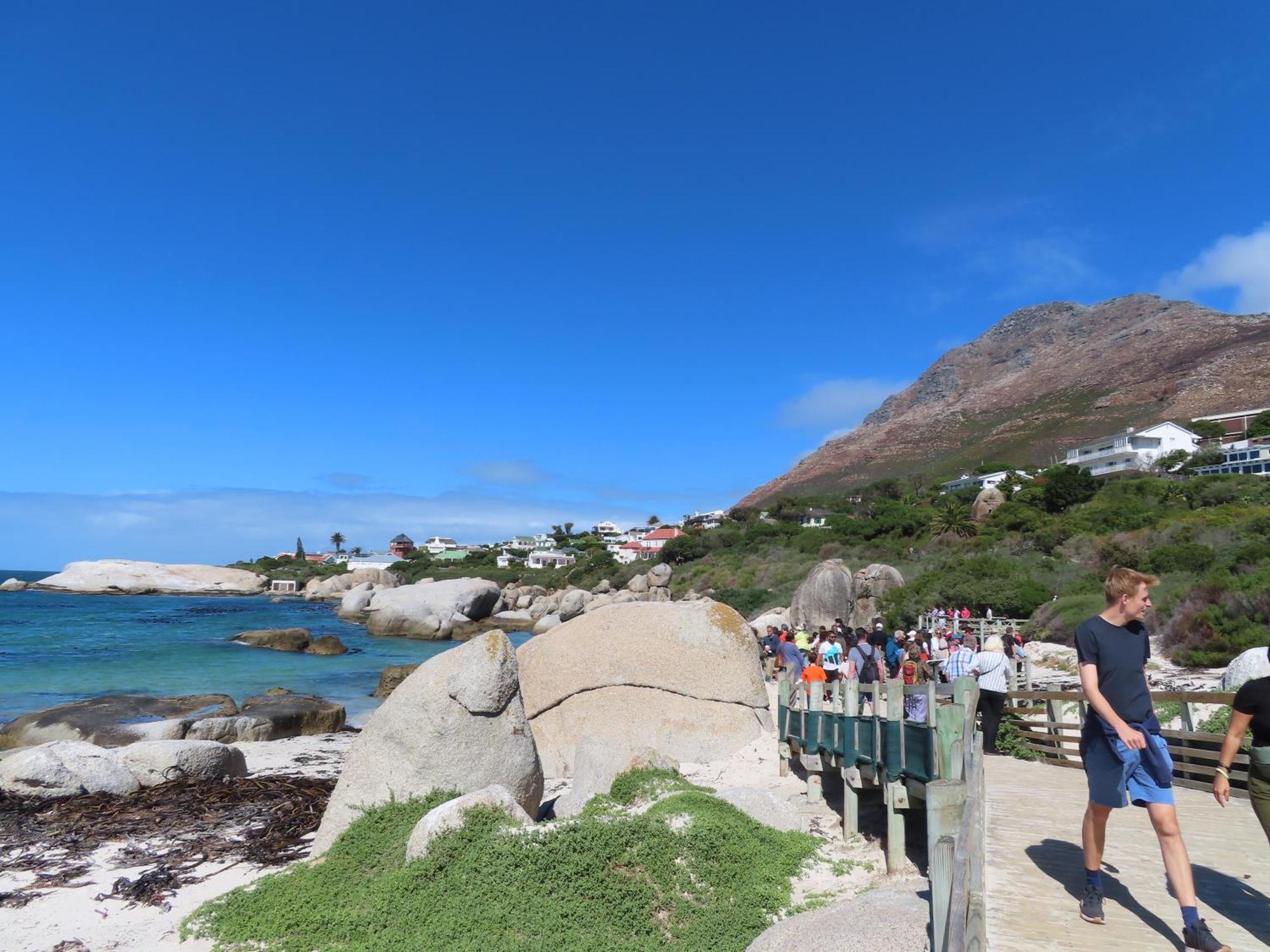 Bonne Esperance, Simon'S Town Apartment Bagian luar foto